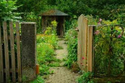 Vortrag Schwamm-Stadt